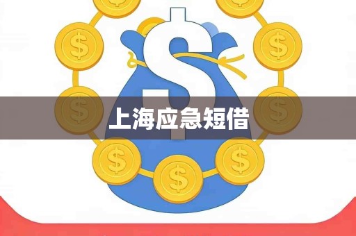 上海应急短借