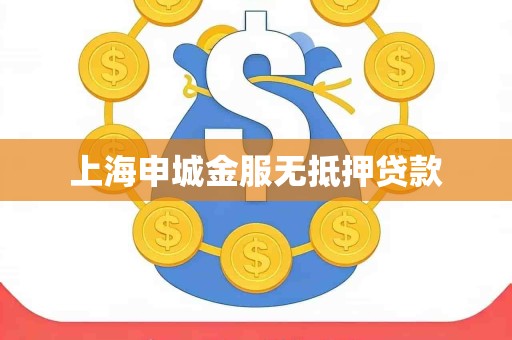 上海申城金服无抵押贷款